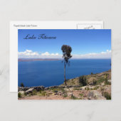 taquisboom briefkaart (Voorkant / Achterkant)