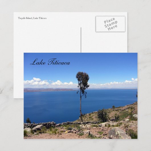 taquisboom briefkaart (Voorkant / Achterkant)