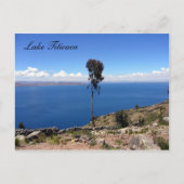 taquisboom briefkaart (Voorkant)