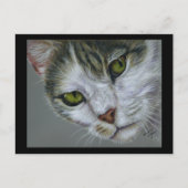 Tara - Kattenkunst Briefkaart (Voorkant)