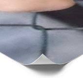 Tara Shannon Feathers Poster (Hoek)