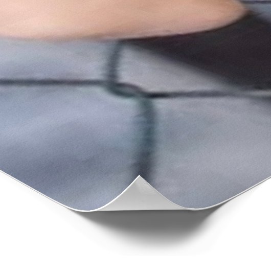 Tara Shannon Feathers Poster (Hoek)