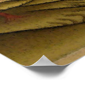 Tara Vrouw Buddha Bodhisattva Jetsun Dolma Poster (Hoek)