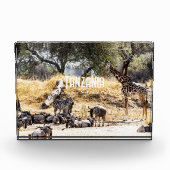 Tarangire National Park Fotoblokken (Voorkant)