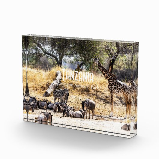 Tarangire National Park Fotoblokken (Rechts)