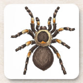Tarantula Bier Onderzetter (Voorkant)