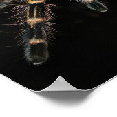 Tarantula Big Spider Hairy Arachnoid Poster (Hoek)