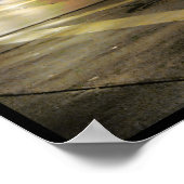 Tarantula billiers poster (Hoek)