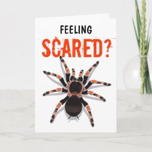 Tarantula Birthday Card Kaart