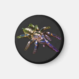 Tarantula blauw/rood/oranje/zwarte spin magneet