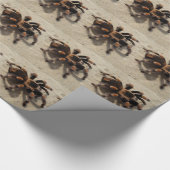 Tarantula brachypelma rode knie giftig cadeaupapier (Hoek)