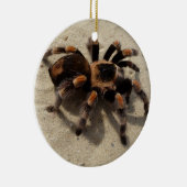 Tarantula brachypelma rode knie giftig keramisch ornament (Rechts)