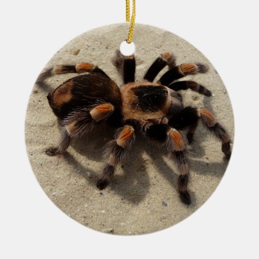 Tarantula brachypelma rode knie giftig keramisch ornament (Voorkant)