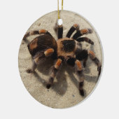 Tarantula brachypelma rode knie giftig keramisch ornament (Links)