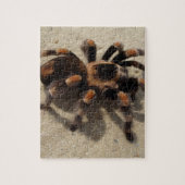 Tarantula brachypelma rode knie giftig legpuzzel (Verticaal)