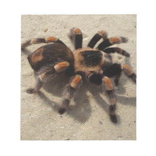 Tarantula brachypelma rode knie giftig notitieblok
