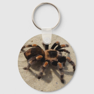 Tarantula brachypelma rode knie giftig sleutelhanger