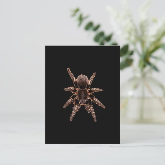 Tarantula Briefkaart (Staand voorkant)