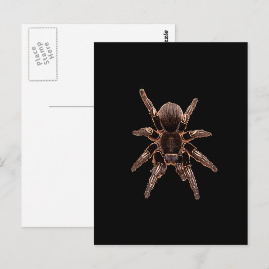 Tarantula Briefkaart (Voorkant / Achterkant)