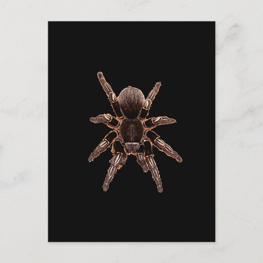 Tarantula Briefkaart (Voorkant)
