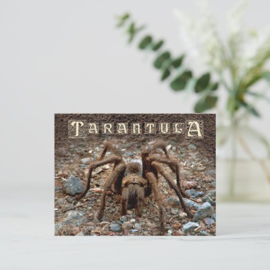Tarantula Briefkaart (Staand voorkant)