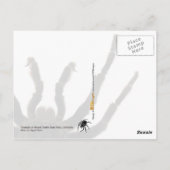 Tarantula Briefkaart (Achterkant)