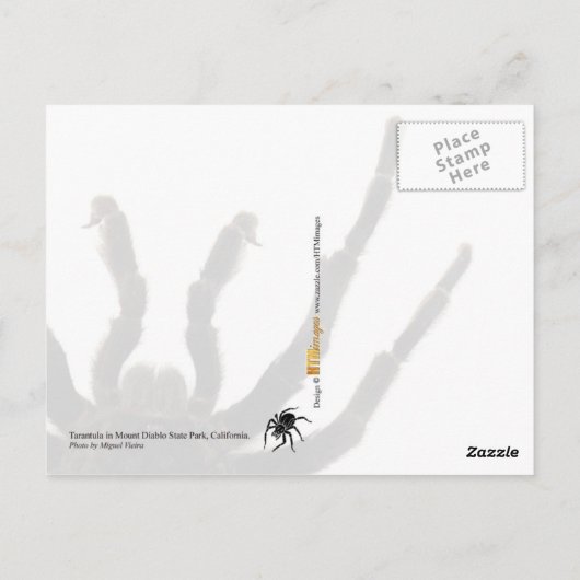 Tarantula Briefkaart (Achterkant)