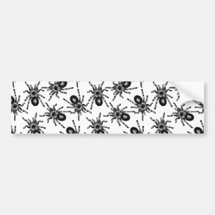 Tarantula Bumpersticker