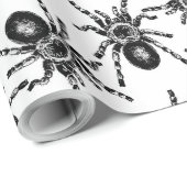 Tarantula Cadeaupapier (Rol Hoek)