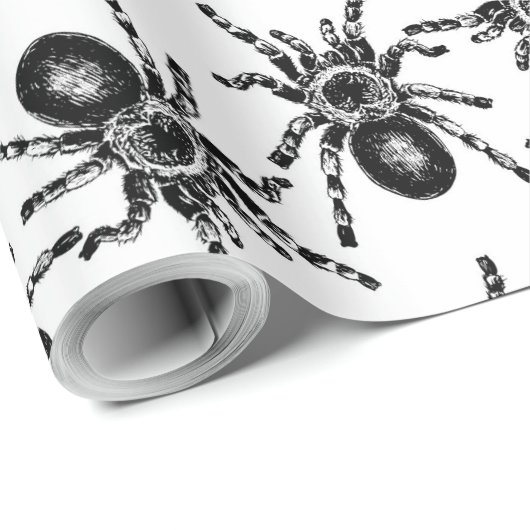 Tarantula Cadeaupapier (Rol Hoek)