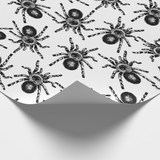 Tarantula Cadeaupapier (Hoek)