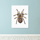 Tarantula Canvas Afdruk (Insitu (Houten vloer))