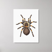 Tarantula Canvas Afdruk (Voorkant)