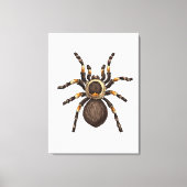 Tarantula Canvas Afdruk (Voorkant)