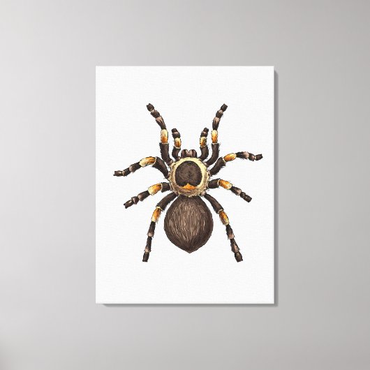 Tarantula Canvas Afdruk (Voorkant)