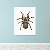Tarantula Canvas Afdruk (Insitu (Houten vloer))