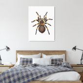 Tarantula Canvas Afdruk (Insitu (Slaapkamer))