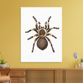 Tarantula Canvas Afdruk (Insitu (Woonkamer))