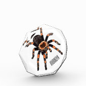 Tarantula cartoon illustratie fotoblokken (Links)
