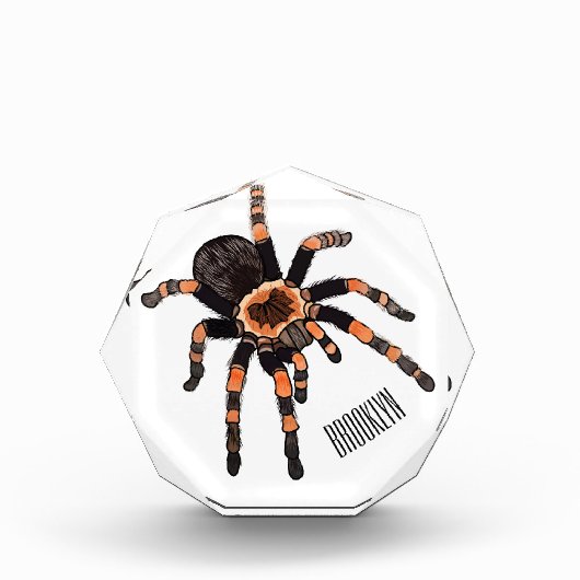 Tarantula cartoon illustratie fotoblokken (Voorkant)