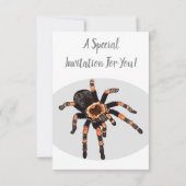 Tarantula cartoon illustratie kaart (Achterkant)