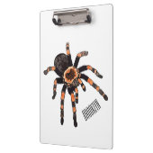 Tarantula cartoon illustratie klembord (Links)