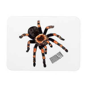 Tarantula cartoon illustratie magneet
