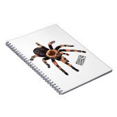 Tarantula cartoon illustratie notitieboek (Rechterzijde)