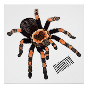 Tarantula cartoon illustratie perfect poster