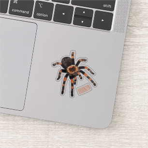 Tarantula cartoon illustratie sticker