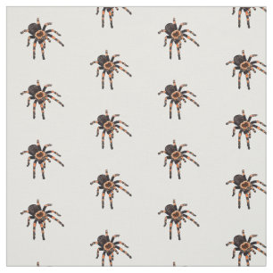 Tarantula cartoon illustratie stof