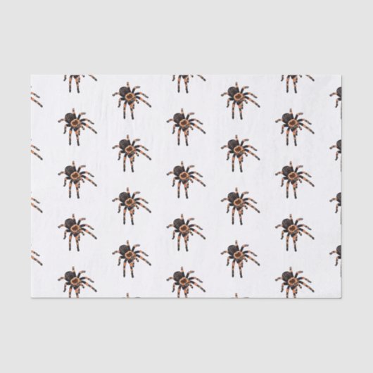Tarantula cartoon illustratie tissuepapier (Voorkant)