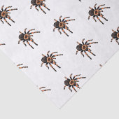 Tarantula cartoon illustratie tissuepapier (Detail)