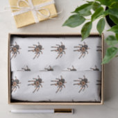 Tarantula cartoon illustratie tissuepapier (Geschenk)